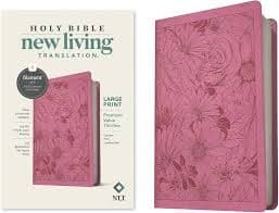 Filament NLT Large-Print Thinline Reference Bible, Leather-look, Berry