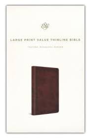 ESV Large Print Value Thinline Bible (TruTone, Mahogany, Border Design) by ESV Bibles