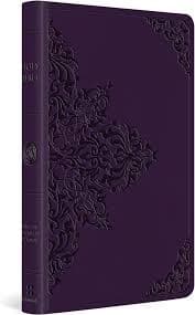 ESV Large Print Value Thinline Bible (TruTone, Lavender, Filigree Design) by ESV Bibles